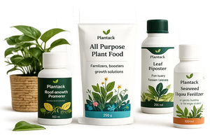 Plant Nutrition