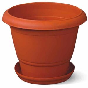 Dulex pot
