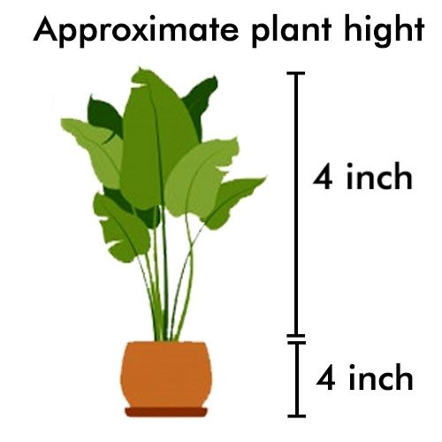 4X4 Size Chart by plantack Size Chart by plantack