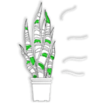 Air purifying plants online
