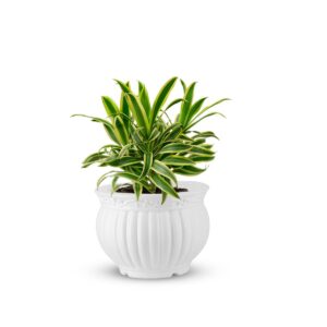 Kanha matki pot