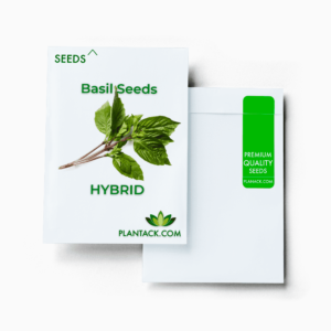 Basil seeds by plantack