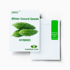 Bitter gourd seeds by plantack