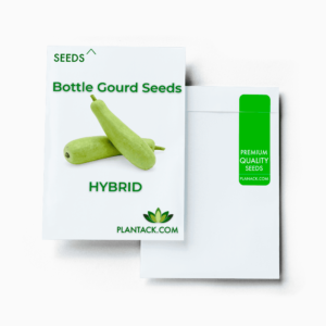 Boottle gourd seeds by plantack