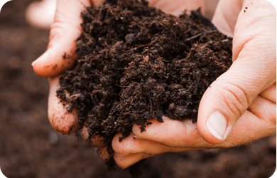 Plant nutrition by plantack