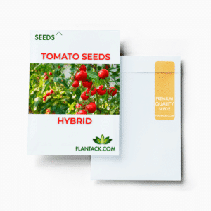 Tomato seeds free by plantack