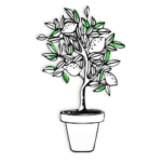 Fruit plants by plantack