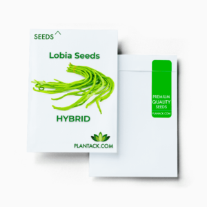 Lobia seeds by plantack