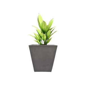 Markis planter nest and vine