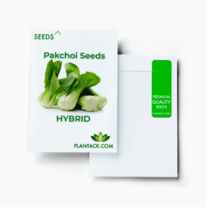 Pakchoi seeds by plantack