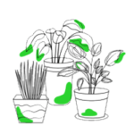 plant sale by thetheplantack.com