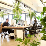 plants in office