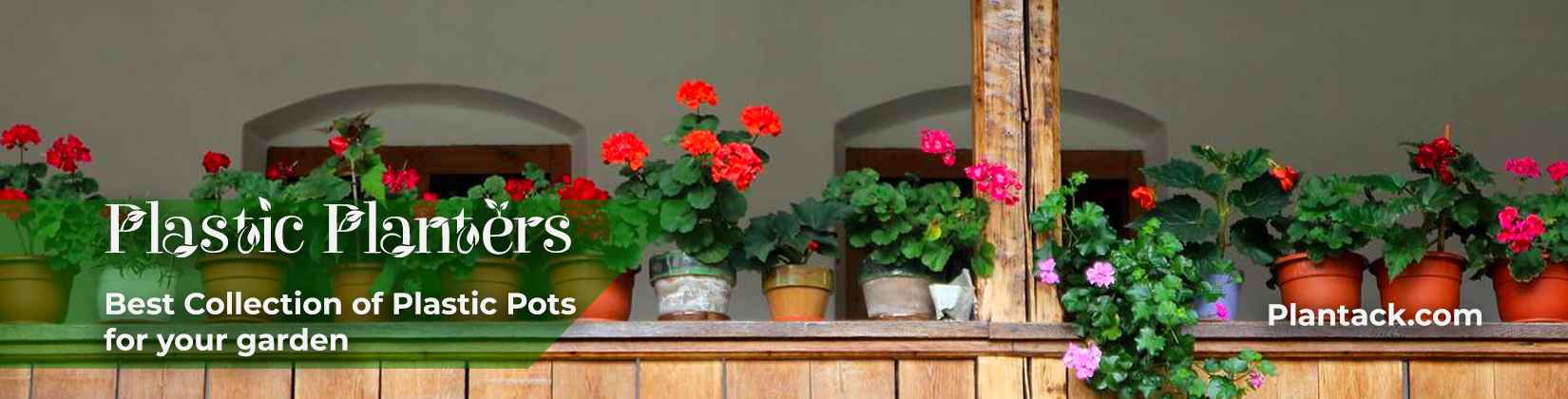 best plastic pots plantack