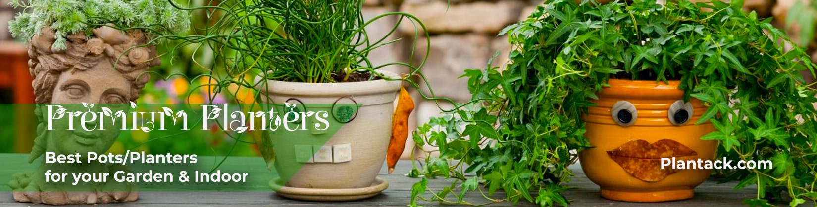 premium planters by plantack